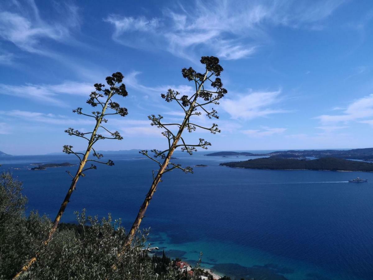 Sea And Pine Paradise Orebic Luaran gambar